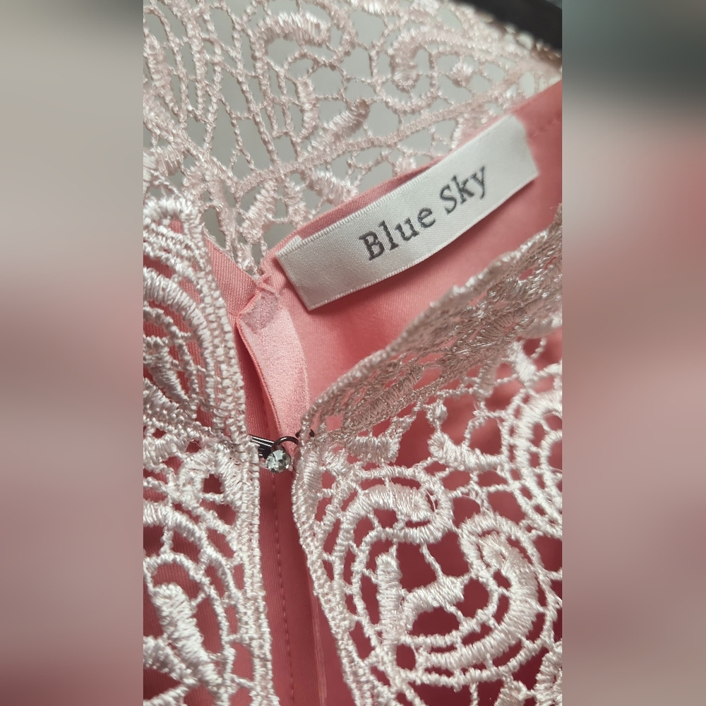 Blue Sky Elegant Pink Lace Dress - Picture 6 of 9